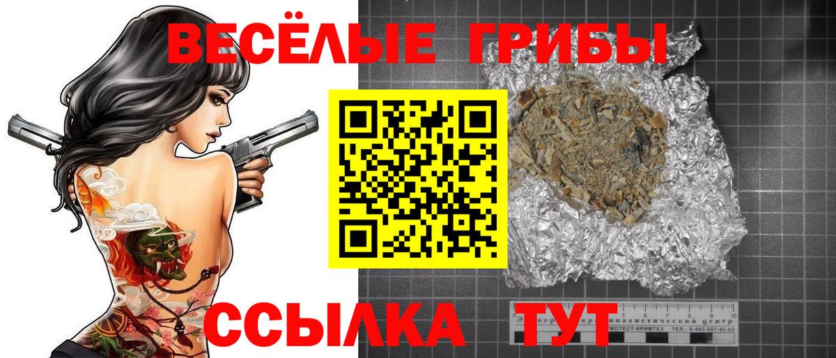 Чернушка  Галлюциногенные грибы Psilocybe  Вход с VPN 